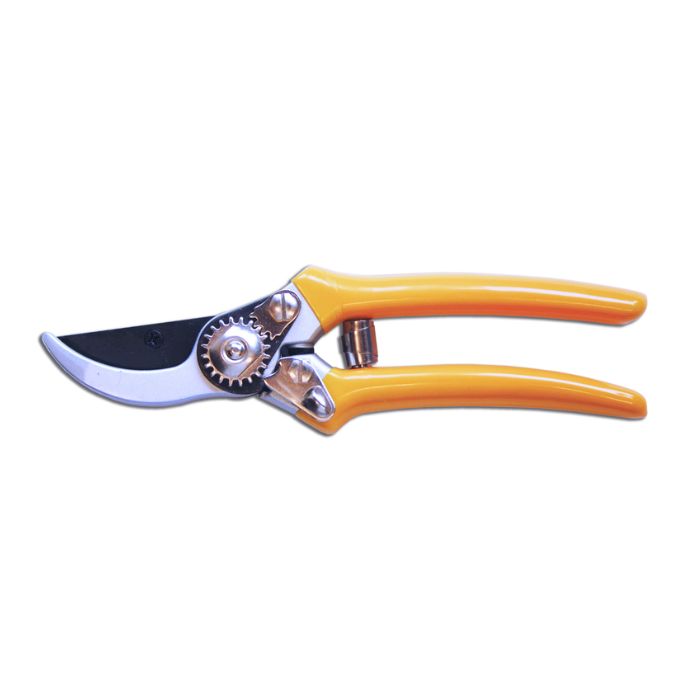 leyat premium secs 700x700
